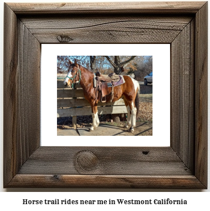 horse trail rides near me in Westmont, California